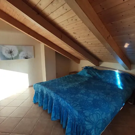 Oasee Apartment